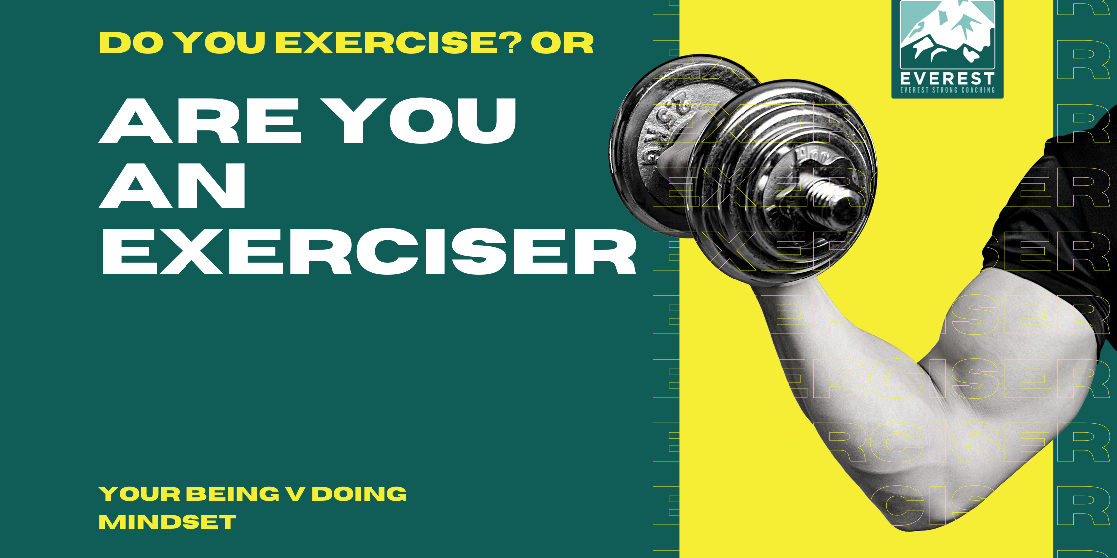 Equilibrion fitness DO YOU EXERCISE? OR ARE YOU AND EXERCISER?